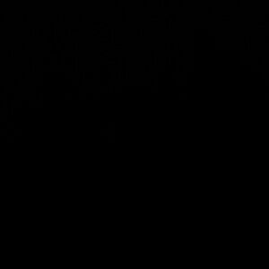 Meet your Posher, dayton